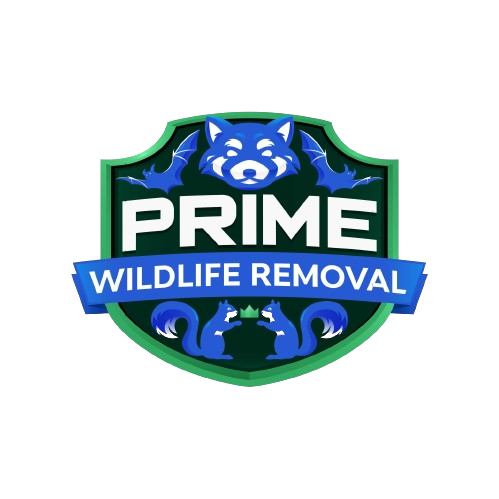 Animal Removal Dundee